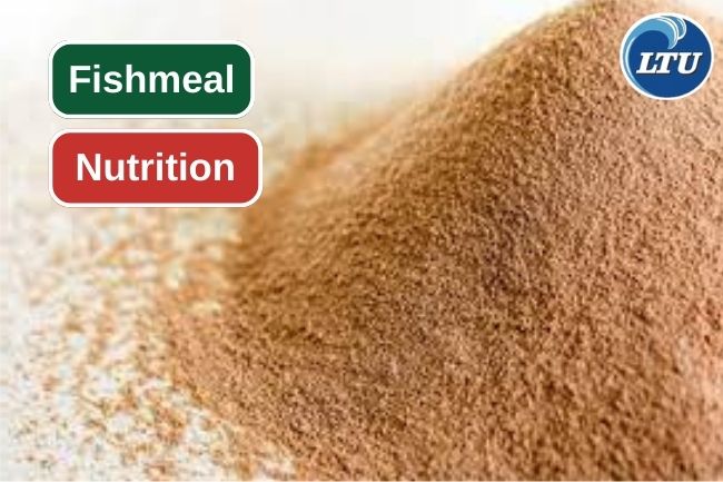 These Are Some Nutrition You Get from Fishmeal